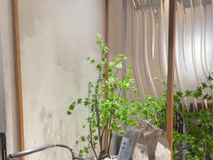 -喜茶(广州保利中环店)