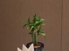 -一品淮扬 · 淮扬菜·北京万达文华酒店