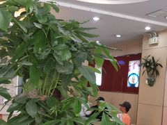 -李先生牛肉面大王(营口大润发店)
