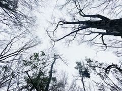 -黔灵山公园