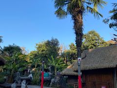 -云南民族村