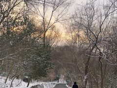 -大蜀山国家森林公园