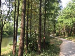 -新江湾城公园