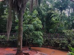 -海南热带野生动植物园