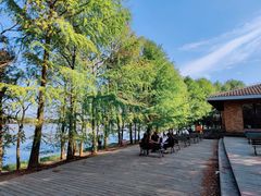 -上海海湾国家森林公园