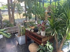 -北马山庄植趣咖啡