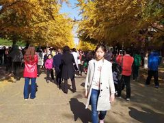 -辽宁大学(崇山校区)