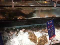 -尚海豆捞(乐虹坊店)