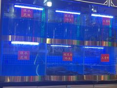 -蛙一刀·麻椒鱼火锅(金仙桥店)