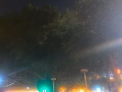 -广州长隆国际大马戏