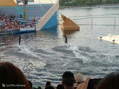 -秦皇岛乐岛海洋王国