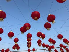 -芒洲湿地公园