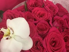 -拾花记花艺·求婚·订婚·生日布置(高新店)