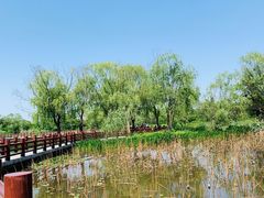 -长兴太湖图影湿地文化园