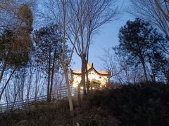 -黄村公园