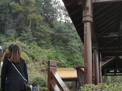 -铁山坪森林公园