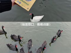 -广州长隆野生动物世界