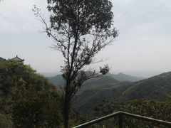 -莫干山风景区