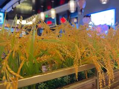 -小肥牛潮汕牛肉火锅(南联店)
