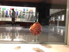 -青岛贝壳博物馆