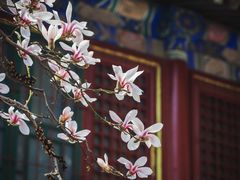-潭柘寺景区