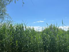 -野鸭湖国家湿地公园