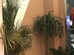 -落日营地·云泰小烤