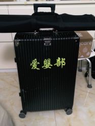 -西瓜庄园儿童摄影