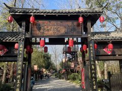 -合肥滨湖国家森林公园