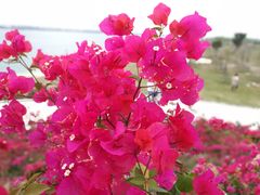 -露天矿生态公园