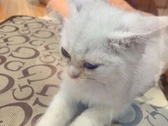-龟与熊猫宠物公园(南坪店)