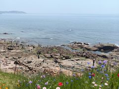 -燕儿岛山公园