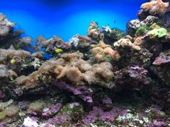 iphone_upload_pic-御唐府海珊瑚主题餐厅