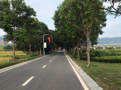 -光明小镇欢乐田园