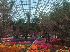 -植物园哈利亚餐厅