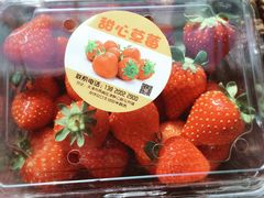 -甜心庄园·甜心草莓采摘园(西青中北店)