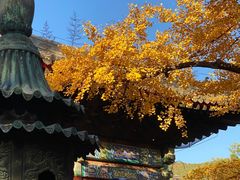 -红螺寺