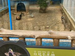 -无锡动物园·太湖欢乐园