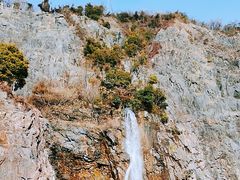 -上海辰山植物园