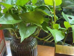 -路小缦·珍馐美馔(市心北路店)