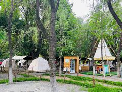 -长白岛森林公园