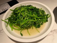 芥兰苗-筱爷叔·上海传统手工菜(新桥店)