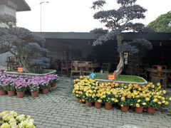 -天怡·鱼工厂(临江店)
