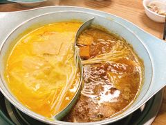 -青瓷火锅料理(西单大悦城店)