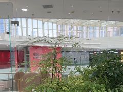 -大树餐厅(红旗街万达店)