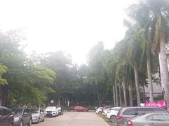 -广东轻工职业技术大学(新港校区)