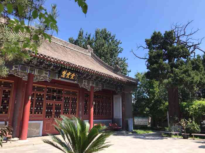 定慧寺-"【最美不过银杏黄】凉风渐起的深秋,大片."-大众点评移动版