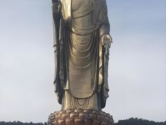 -中原大佛景区