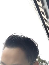 -大象造型