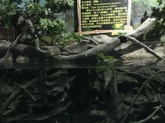 -梦幻海洋王国(吾悦广场张家港店)